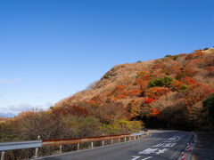 なかなか良い感じで紅葉していて良い感じ。
夕陽とはいえないけど午後の日差しを浴びている面は紅葉が色濃く見える。場所は牧ノ戸峠