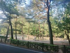 砂川公園