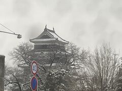 家族が体調を崩してしまったので松本観光はせず、帰路につきました。
それでも車の窓から立派な松本城は見れたのでヨシ！

旅にトラブルはつきものです。
松本は以前にも来たことがありますし、またの機会にゆっくり観光することにします！
次はもっとリサーチして、良いお店を引き当てるぞ！

当初の目的であった、新車での雪道は十分すぎるほど達成しました！