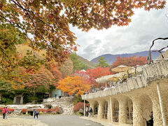 新館入口横まで来るとこの風景が広がり

思わず おおっーーーと言ってしまいます