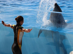 オープン前からかなりの来場者の行列です。