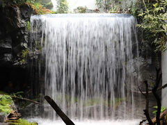 ＜アクアライブ＞続いて水槽展示です。三木市の滝を再現した滝が入口になります。