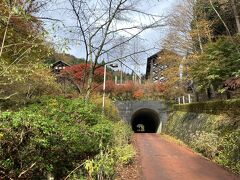 最初のポイントは森林館

ここはスタートから数分で見える