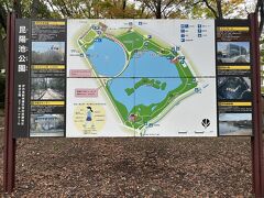 日曜日の午前中は朝ウォーキング代わりに昆陽池公園を散歩します。