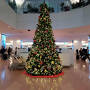宮古島シギラリゾートでX'mas2023①クリスマスがいっぱい