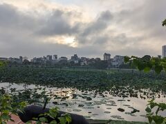 ５日目　朝。
今日は,雨は降っておらず、散歩に出ることができます。