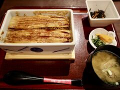 まめたぬき