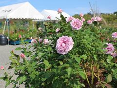 エコパーク水俣