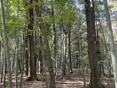 チェックアウト後、『みのりの森』
お散歩コースへ
ウォーキングや犬の散歩の方と
一緒に散策します。