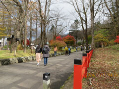 カメラ撮影で遅れがちなフランス人を引っ張って、華厳の滝へ向かいます