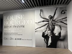 東京・六本木『Roppongi Hills』森タワー 53F
『Mori Art Museum』

『六本木ヒルズ』の『森美術館』で開催している
「ルイーズ・ブルジョワ展」を鑑賞します。

クモをモチーフにしたアート作品が数点あります。

『六本木ヒルズ』の正面広場「66プラザ」にある巨大なクモのオブジェ
「ママン」。
特に気にも留めずに通っていたあのアート作品は
ルイーズ・ブルジョワ氏のものだったのですね！

https://www.mori.art.museum/jp/exhibitions/bourgeois/