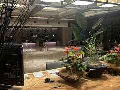 少し早いですがホテルへ！
写真は夜のロビーです。

夏休みの為満室のようで・・・
有償でもいいのでと言ったら
ホテルの方のご厚意でUPグレードしていただけました。