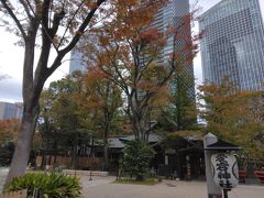 裏口入門しました！そこそこきつい階段でしたがこれなら行けるところ。