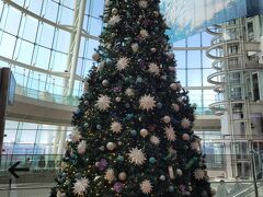 旅の初めは羽田空港から。
11月中旬なのにもうクリスマスツリーが飾られていました。