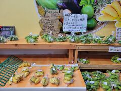 コンドミニアムに向かう前に「島の駅 みやこ」に立ち寄って、滞在中の食料を調達。
島バナナは迷ったけど買わなかった。