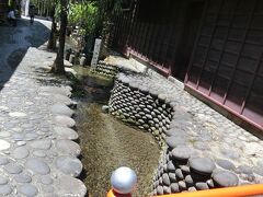 一旦ホテルに荷物を預け散策開始。

郡上八幡では２つの有名な小径があります。
１つがこちらのやなか水の小径。