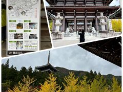 大師山清大寺にある大仏ですが古い歴史があるものではなく、1987年に地元の実業家が観光施設として創建したものなんだそうです

そして、2002年に臨済宗妙心寺派の寺院となって今は正真正銘のお寺になっているとのこと

インバウンドの観光客が SNSにあげてバズったらしいです^^;

イチョウの紅葉がきれい！