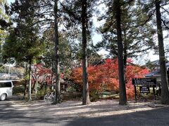 南禅寺の天授庵を経由し、ぐるりと南禅寺を回り、永観堂にやってきました。緑と赤が対照的。