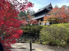 赤の紅葉と緑の葉、そして建物の配置を考えて撮影しました。どうでしょうか？