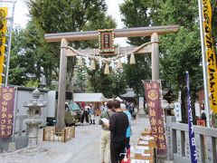 蛇窪神社

　鎌倉末期の元亨２年（1322年）、この一帯が大旱魃となったとき、古池のほとりにあった龍神社に雨乞いの断食祈願をしたところ、恵みの雨が降り、飢饉を免れることができたことに感謝し、神社を勧請したのが起源とされます。天照大御神を主祭神とし、天児屋根命及び 応神天皇を配祀とする神社で、正式名称は天祖神社といいます。本殿に祀られる三柱のほか、法密稲荷社、白蛇辨財天社及び蛇窪龍神社に祀られる全ての神様を総称して、「蛇窪大明神」と呼ばれます。また、山口県岩国市、群馬県沼田市老神温泉と共に、白蛇日本三大聖地の一つにもなっています。

　こちらの大鳥居は、蛇窪神社鎮座700年記念事業の一環として、令和元年12月26日に建立されたものです。