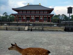中金堂は２０１８年に再建されたものです。