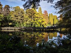 紅葉も美しく　
いい一日ツアーを楽しませてもらえました