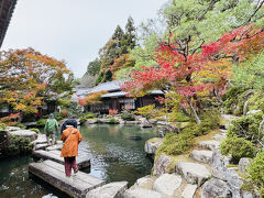 百済寺・喜見院
池泉回遊式庭園
池に落ちてしまった人がいるそうで　気を付けながら歩きます♪