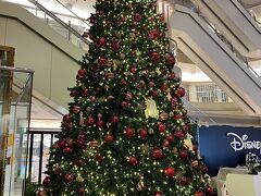 11月の羽田空港はもうクリスマスの雰囲気が漂っています。