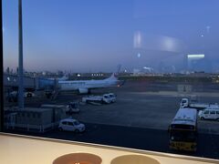 JALの早朝便なので、朝4時半に起きて空港に来ました。
途中、ファストフード店でサンドイッチをいただきましたが、
ひとまず、パワーラウンジでトマトジュースとカフェラテをいただいてひと息つきます。