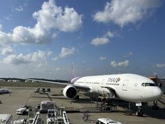 前置き長くなりましたが、出発しましょう。
成田のカウンターではビザを入念にチェックされ少し時間を要しました。

ほぼ満席でいってきまーす。

