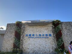 美ら海水族館
