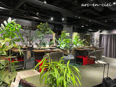 その足で、羽田空港の第1ターミナル3階の「足湯カフェ&ボディケア LUCK」へ。