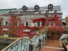 運河沿いの浅草橋の紅葉も綺麗ですね