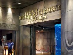 アトランティス・ザ・パームにあるか「ロストチェンバー水族館」です！

ドバイにはもっと大きな有名なドバイモールの水族館がありますが、あえてマイナーな方に来てみました！

料金は日本円で7,000円近くとかなり強気(-_-)

※ザロストチェンバー水族館　155DhAED