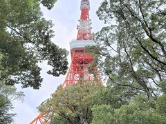 もみじ谷からの東京タワー

　東京タワーの足元にある公園、もみじ谷から撮影しました。