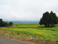 　８月７日、見頃になった情報を得て、小千谷市の山本山高原のひまわり畑に出かけました。

＜資料＞山本山高原( https://www.city.ojiya.niigata.jp/site/kanko/yamamotoyamakogen.html    )
基本情報
住所	新潟県小千谷市山本山沢山ポケットパーク
交通アクセス	●関越自動車道「小千谷IC」より車で約20分
●関越自動車道「越後川口IC」より車で約10分
駐車場	●開花時期臨時駐車場
　（山本山山頂展望台方面に進むと臨時駐車場に降りる小道があります。）
●沢山ポケットパーク（展望休憩所）普通車：７台
※沢山ポケットパーク駐車場は台数が限られているため、開花時期臨時駐車場をご利用ください。　
※路上駐車・管理棟（小屋）から離れた牧草地への駐車はご遠慮ください。

