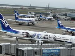 一度も訪れたことがなかった宮崎県青島に、いきなり思い立って行ってきました。
鬼滅版ANAで向かいます！