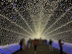 食事の後はもちろんイルミネーション鑑賞です。