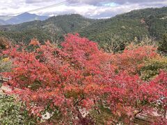 吉野山の紅葉