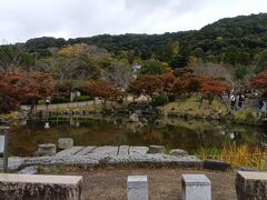 ランチを頂いたあとは、清水寺に行きます
徒歩だと片道35分と書いてありましたが、駐車場から車を出し入れして、清水寺近くの駐車場を探すのも面倒なので、ゆっくり歩いて行きます
途中の円山公園