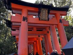 さて本殿の裏手、奥宮の脇が千本鳥居の入り口。
千本鳥居は江戸時代から信仰の対象だという。
