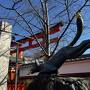 辰年のパワースポット伏見神寶神社