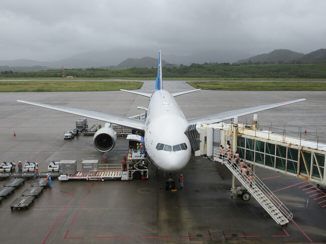 NH90<br />石垣 12:20→羽田 14:55　B777-200（JA717A）GATE 6<br />この機体、先週那覇に行った時に羽田～那覇間で乗ったやつだ<br />帰ってから知った（笑）
