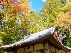あまり色付いてなかったのですが、観音堂+紅葉+青空の写真を撮りたかったんです!