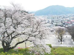 西山公園に行ったら桜がキレイでした！

道の駅でお買い物の出来て、楽しかったです！