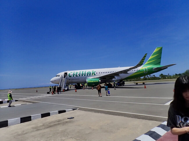 今回、乗って来た飛行機。