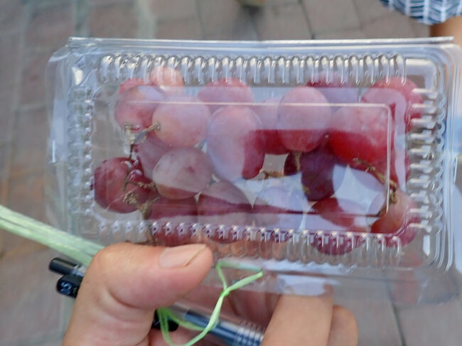 ブドウを$2ドル(キャッシュ312円)で買いました。<br />ボラれたかな？