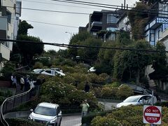 お天気があまり良くなく、花の時期でもないので映える写真ではありませんが、記念に。