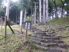 東名に乗ったら、またもや神奈川、静岡県境付近で事故渋滞と表示が出ています。
予定を変更して厚木から小田原に。石垣山城に寄ります。
かなりの山の上にあります。

秀吉の小田原攻めで築かれた別名、一夜城です。一夜で築けるはずもありませんが。
関東一円から北条氏の勢力を一掃し滅亡させた戦いのシンボルの城です。