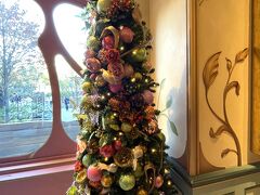 『東京ディズニーシー（TDS）』ファンタジースプリングス

ショップ【ファンタジースプリングス・ギフト】のXmasツリーの
写真。